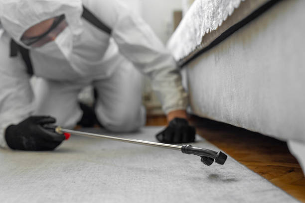 Professional Bed Bug Control technician working in Pottawatomie County County, OK